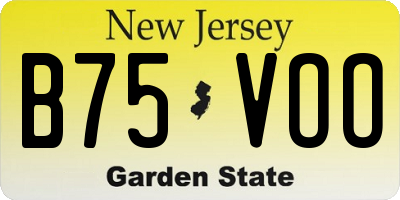 NJ license plate B75VOO