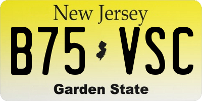 NJ license plate B75VSC