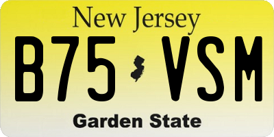NJ license plate B75VSM