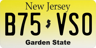 NJ license plate B75VSO
