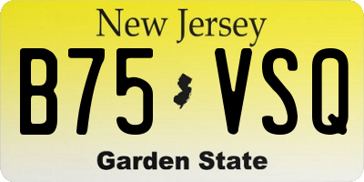 NJ license plate B75VSQ