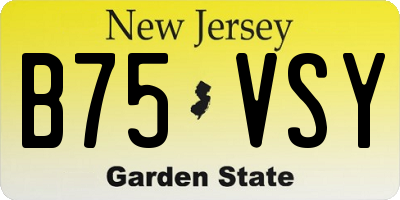 NJ license plate B75VSY