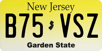 NJ license plate B75VSZ