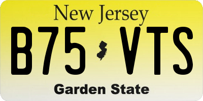 NJ license plate B75VTS