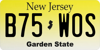 NJ license plate B75WOS