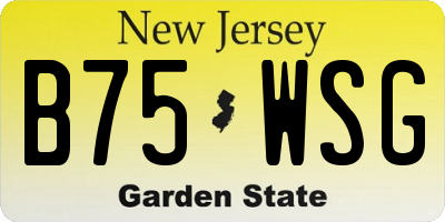 NJ license plate B75WSG