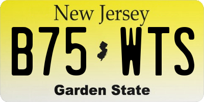 NJ license plate B75WTS