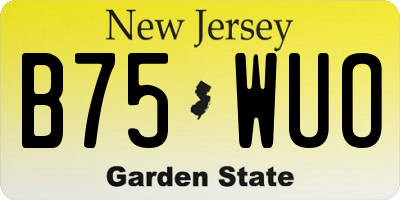 NJ license plate B75WUO