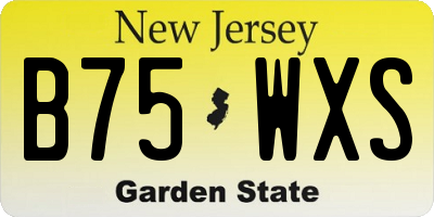NJ license plate B75WXS