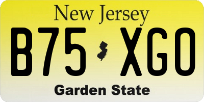 NJ license plate B75XGO