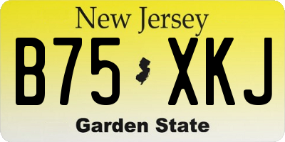 NJ license plate B75XKJ