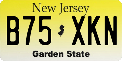 NJ license plate B75XKN