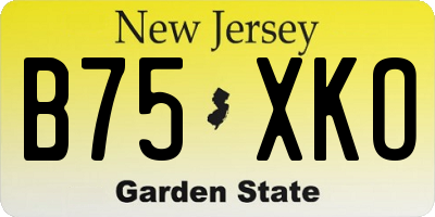 NJ license plate B75XKO