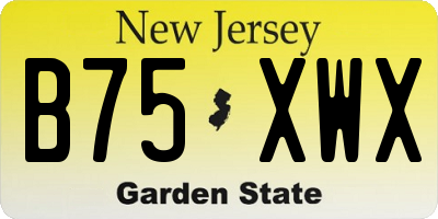 NJ license plate B75XWX