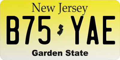 NJ license plate B75YAE