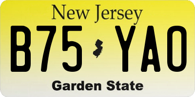 NJ license plate B75YAO