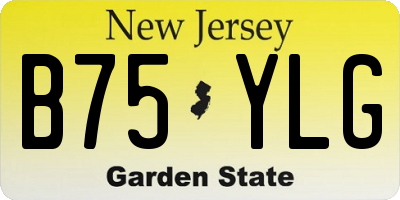 NJ license plate B75YLG