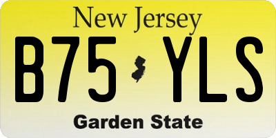 NJ license plate B75YLS
