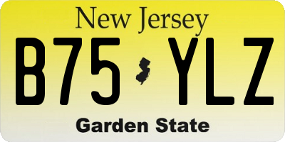 NJ license plate B75YLZ