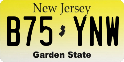 NJ license plate B75YNW