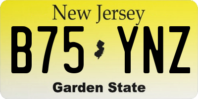 NJ license plate B75YNZ