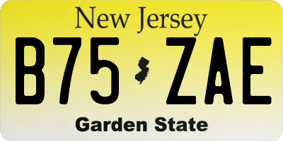 NJ license plate B75ZAE