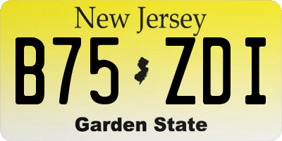 NJ license plate B75ZDI