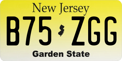 NJ license plate B75ZGG