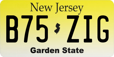 NJ license plate B75ZIG