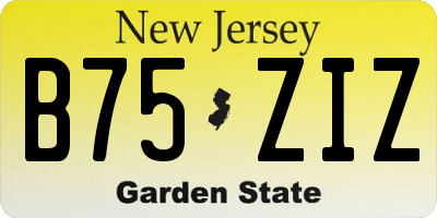 NJ license plate B75ZIZ