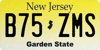 NJ license plate B75ZMS