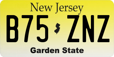 NJ license plate B75ZNZ