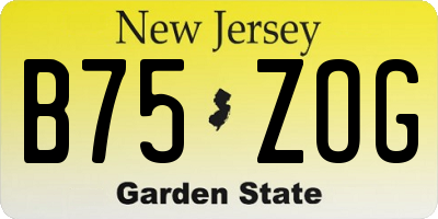 NJ license plate B75ZOG
