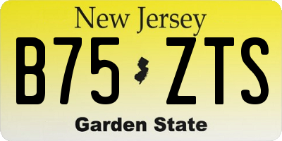 NJ license plate B75ZTS
