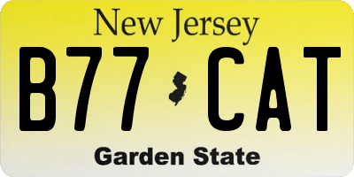 NJ license plate B77CAT