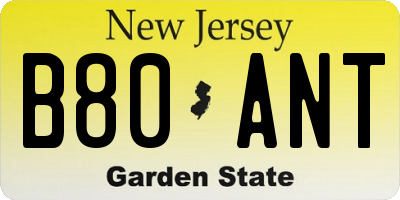 NJ license plate B80ANT