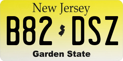 NJ license plate B82DSZ