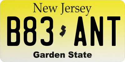 NJ license plate B83ANT
