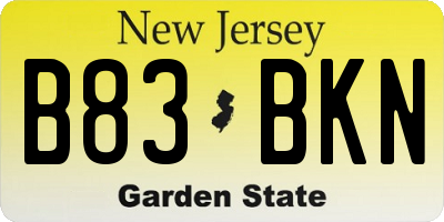 NJ license plate B83BKN
