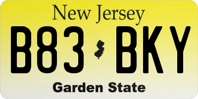 NJ license plate B83BKY