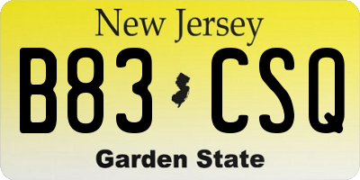 NJ license plate B83CSQ
