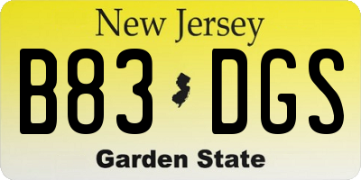 NJ license plate B83DGS