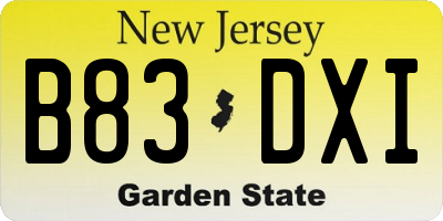 NJ license plate B83DXI