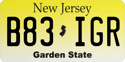 NJ license plate B83IGR