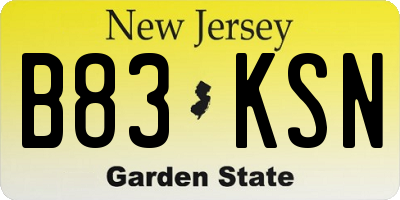 NJ license plate B83KSN