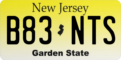 NJ license plate B83NTS
