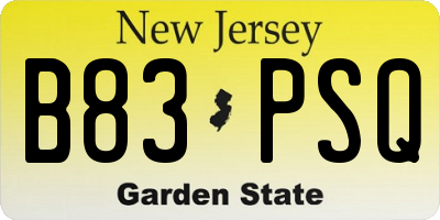 NJ license plate B83PSQ