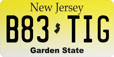 NJ license plate B83TIG