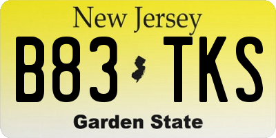 NJ license plate B83TKS