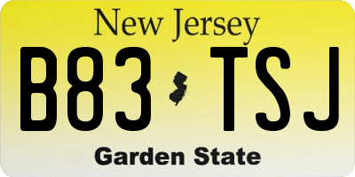 NJ license plate B83TSJ